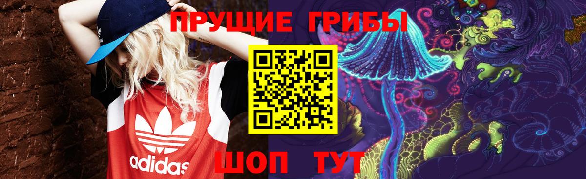 Орёл  Галлюциногенные грибы прущие грибы  Вход с VPN  Галлюциногенные грибы Psilocybe 